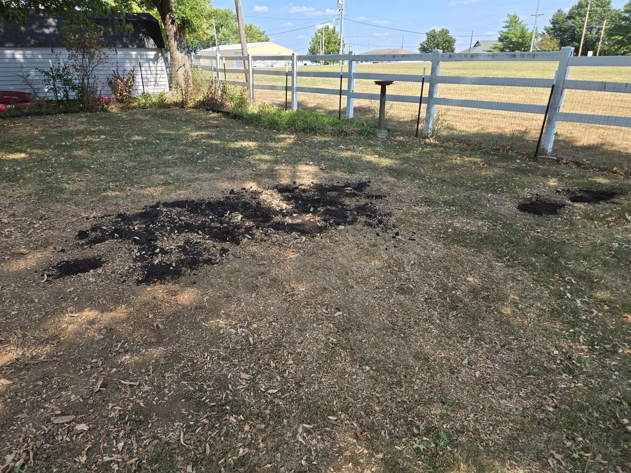 a pile of wood chips
